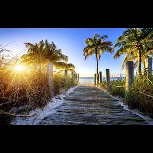 Meet your Posher, Carolina